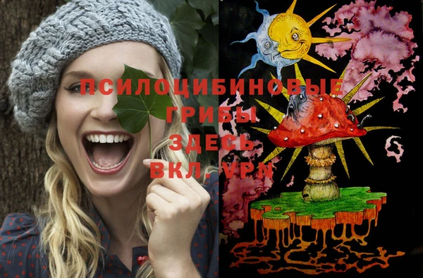 соль ск Нефтегорск